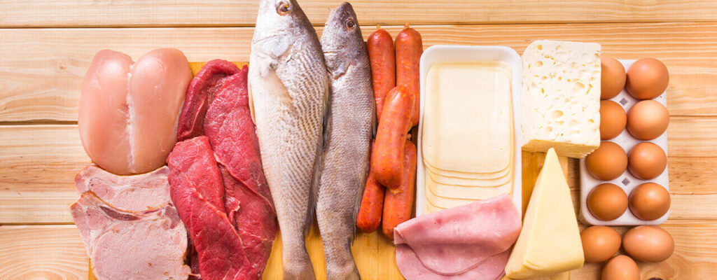 How Can the Addition of High-Quality Protein Benefit Me?